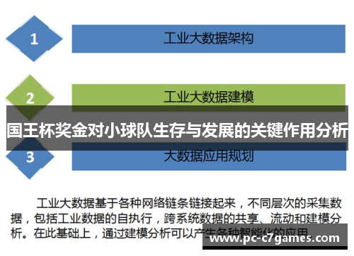 国王杯奖金对小球队生存与发展的关键作用分析