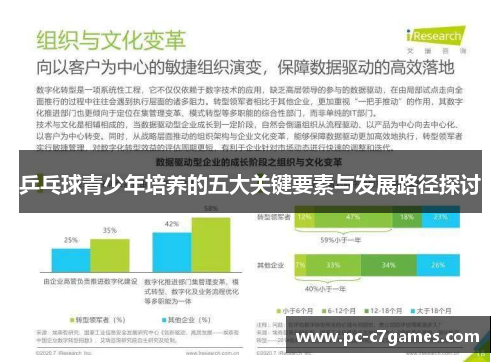 乒乓球青少年培养的五大关键要素与发展路径探讨