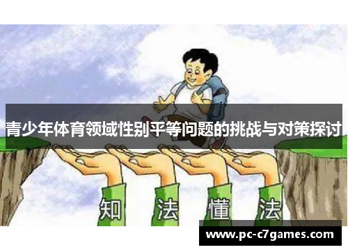 青少年体育领域性别平等问题的挑战与对策探讨