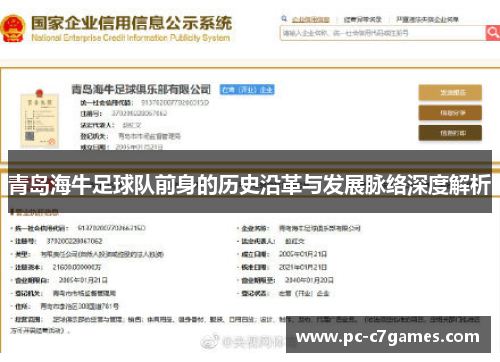 青岛海牛足球队前身的历史沿革与发展脉络深度解析