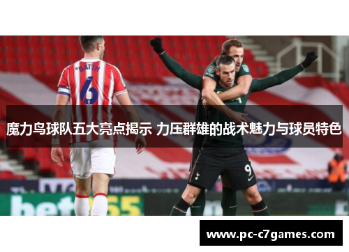 魔力鸟球队五大亮点揭示 力压群雄的战术魅力与球员特色